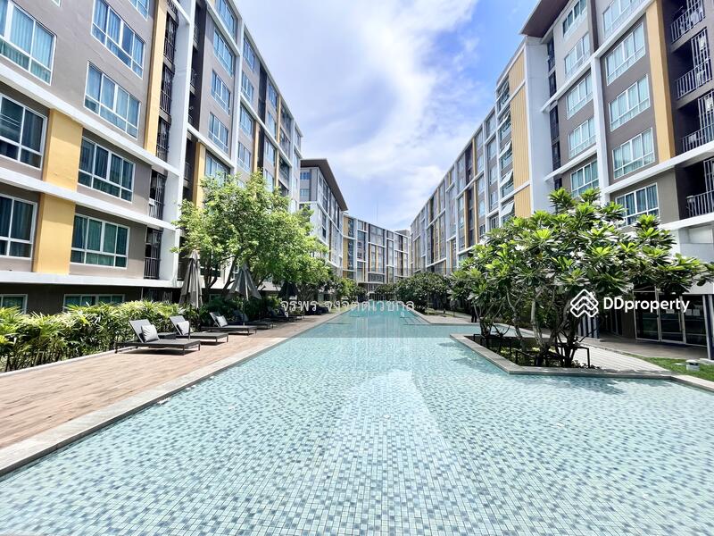 ขาย - Dcondo Campus Resort Bangsaen : ดีคอนโด แคมปัส รีสอร์ท บางแสน, ชลบุรี