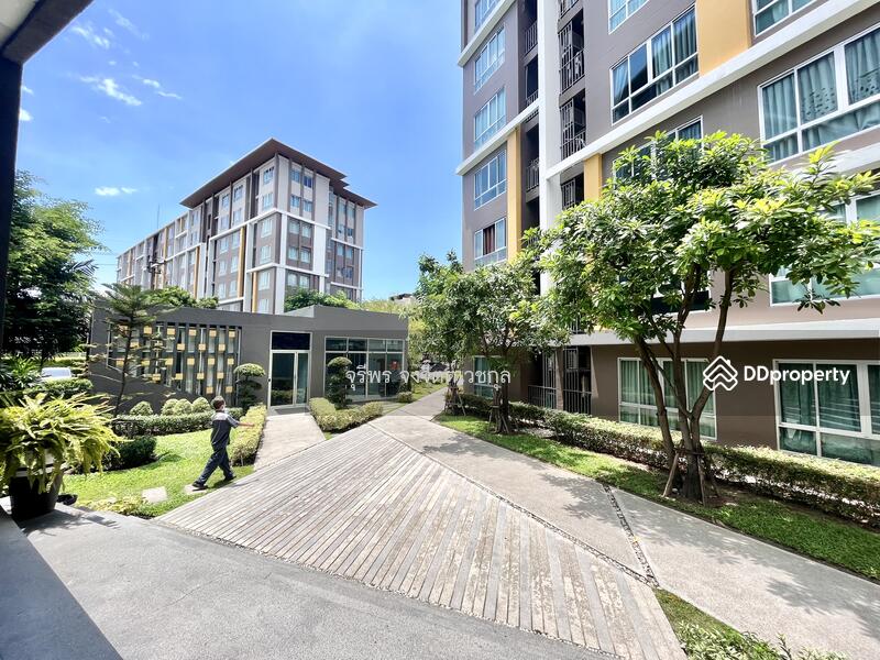 ขาย - Dcondo Campus Resort Bangsaen : ดีคอนโด แคมปัส รีสอร์ท บางแสน, ชลบุรี
