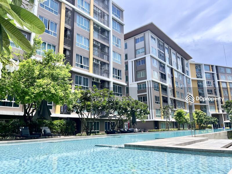 ขาย - Dcondo Campus Resort Bangsaen : ดีคอนโด แคมปัส รีสอร์ท บางแสน, ชลบุรี