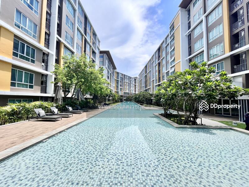 ขาย - Dcondo Campus Resort Bangsaen : ดีคอนโด แคมปัส รีสอร์ท บางแสน, ชลบุรี