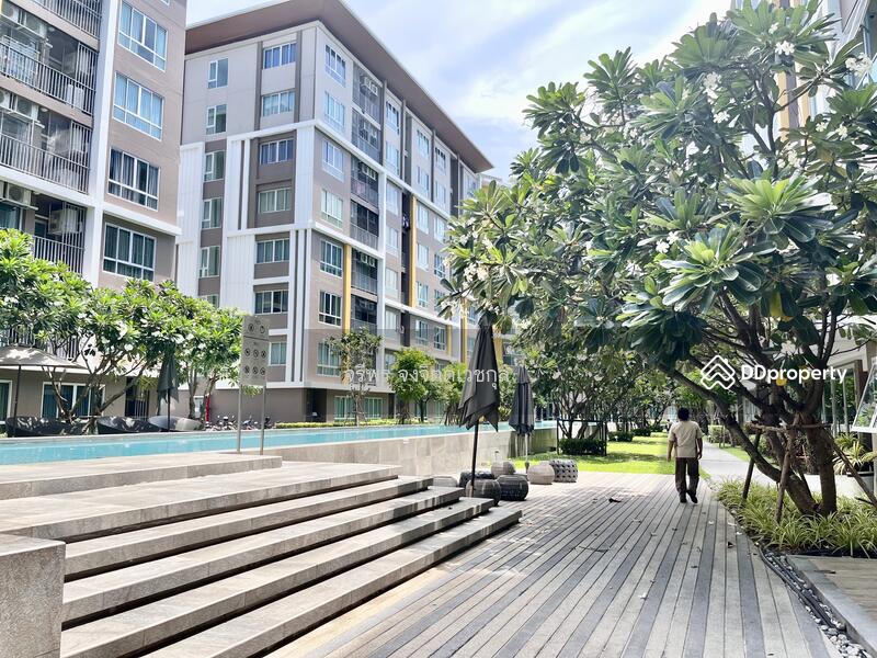 ขาย - Dcondo Campus Resort Bangsaen : ดีคอนโด แคมปัส รีสอร์ท บางแสน, ชลบุรี