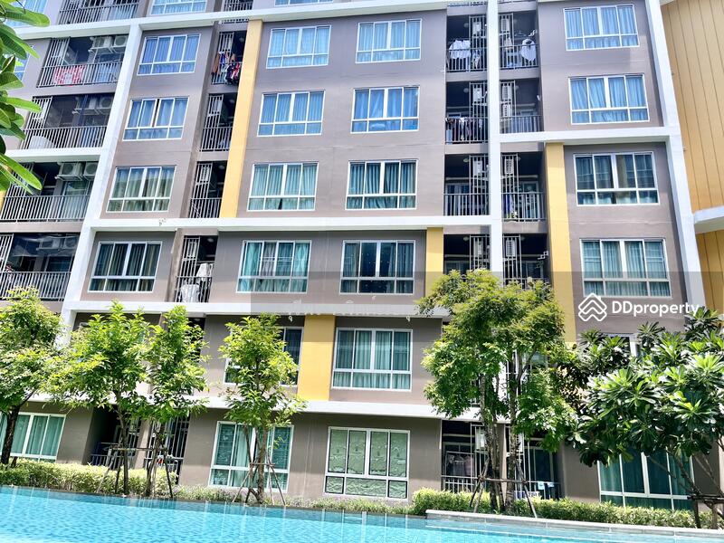 ขาย - Dcondo Campus Resort Bangsaen : ดีคอนโด แคมปัส รีสอร์ท บางแสน, ชลบุรี