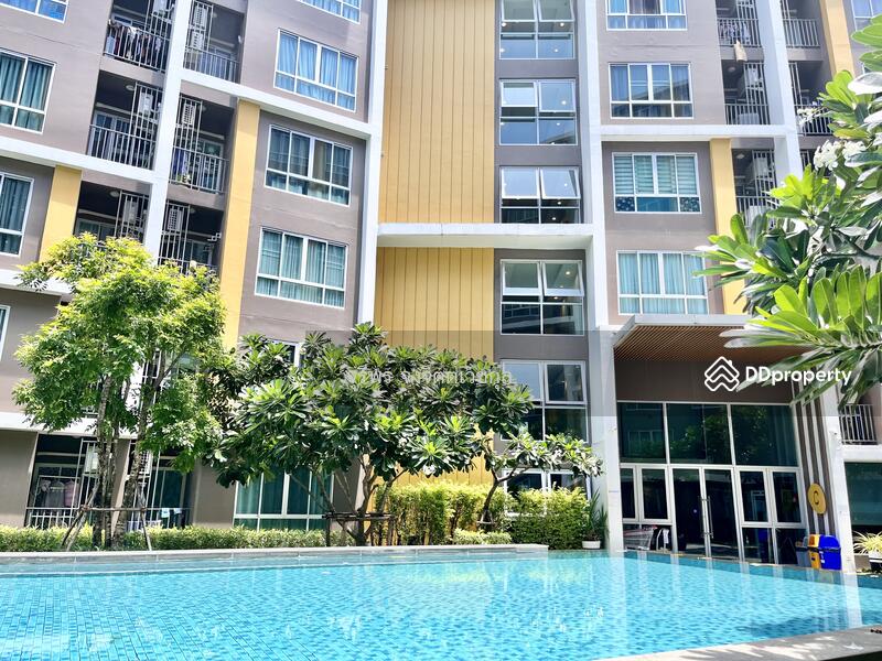 ขาย - Dcondo Campus Resort Bangsaen : ดีคอนโด แคมปัส รีสอร์ท บางแสน, ชลบุรี