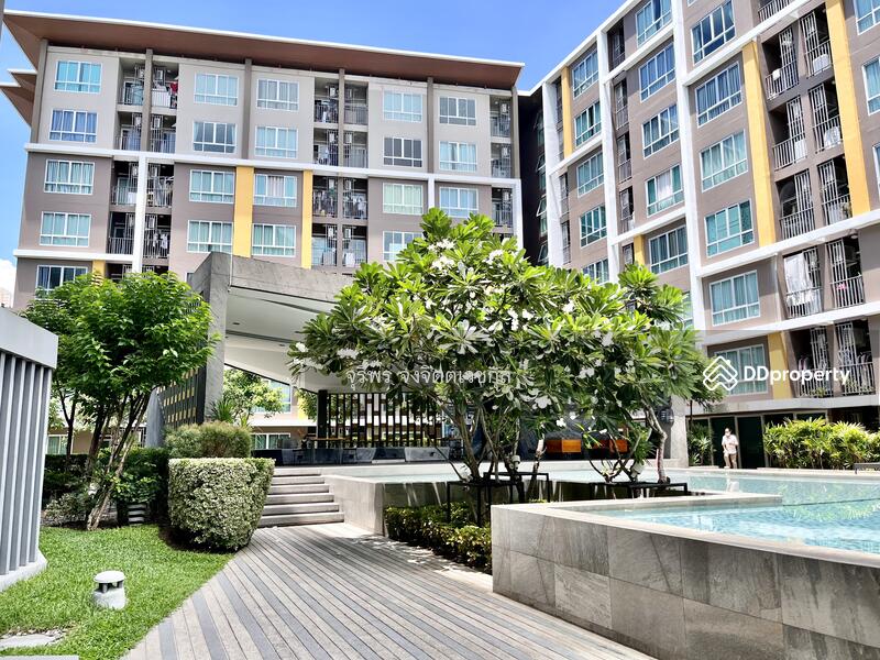 ขาย - Dcondo Campus Resort Bangsaen : ดีคอนโด แคมปัส รีสอร์ท บางแสน, ชลบุรี