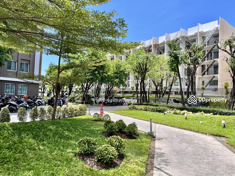 ขาย - Dcondo Campus Resort Bangsaen : ดีคอนโด แคมปัส รีสอร์ท บางแสน, ชลบุรี