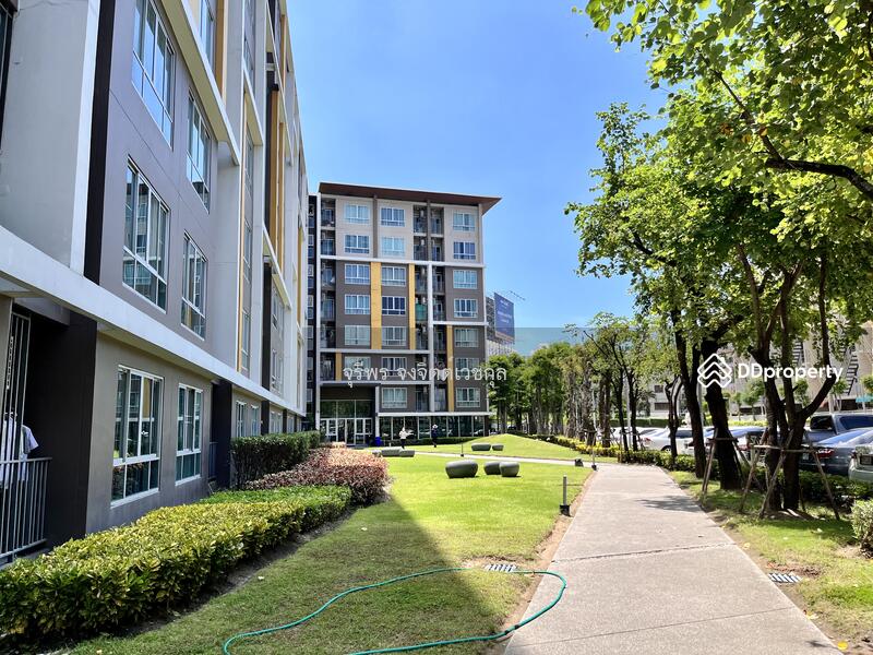 ขาย - Dcondo Campus Resort Bangsaen : ดีคอนโด แคมปัส รีสอร์ท บางแสน, ชลบุรี