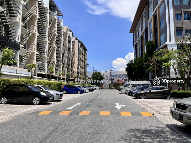 ขาย - Dcondo Campus Resort Bangsaen : ดีคอนโด แคมปัส รีสอร์ท บางแสน, ชลบุรี