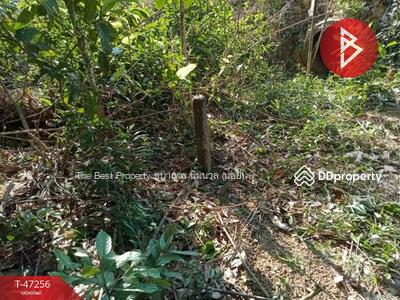 ขาย - ขายที่ดินเปล่า เนื้อที่ 1 งาน 40.0 ตารางวา มะขาม จันทบุรี, จันทบุรี