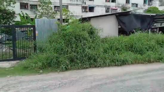ลาซาล 31, Bangkok, Bang Na, Bang Na, Bangkok, 1 Bedroom, 70 sqm, Townhouse For Rent, by Nattayaporn Peumkul (Benz), 10315314 - DDproperty.com