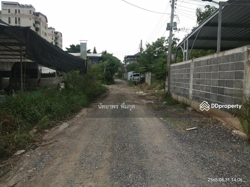 ลาซาล 31, Bangkok, Bang Na, Bangkok, 1 Bedroom, 100 sqm, Townhouse For Rent, by Nattayaporn Peumkul (Benz), 10315314 - DDproperty.com