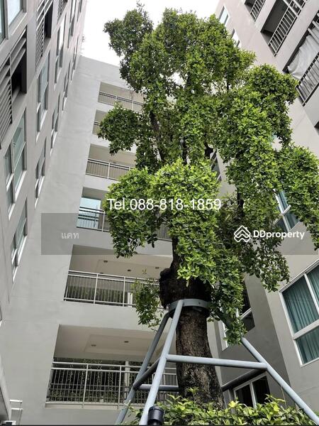 For Rent - Tempo Quad Saphanmai, Bangkok