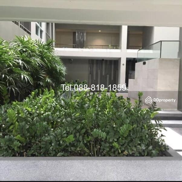 ให้เช่า - Tempo Quad Saphanmai : เทมโป ควอด สะพานใหม่, กรุงเทพ