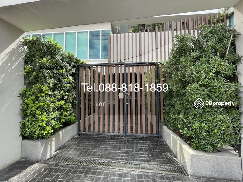 ให้เช่า - Tempo Quad Saphanmai : เทมโป ควอด สะพานใหม่, กรุงเทพ