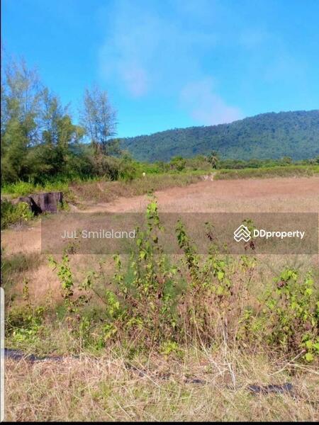 ขายที่ดินติดทะเล หาดไพริน ตราด 7ไร่, Trat, ร่วมใจอนุสรณ์, Khlong Yai, Trat, , 12,181 sqm, Land For Sale, by Wannasa Jajang, 10316829 - DDproperty.com