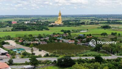 ขาย - ที่ดิน ริมถนนทางหลวงแผ่นดินหมายเลข 3195 สายสุพรรณบุรี–ป่างิ้ว เนื้อที่ 6-3-96 ไร่ ใกล้วัดม่วง, อ่างทอง