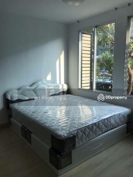 Areeya Daily Kaset-Nawamintr, Bangkok, Ladplakhao Road, Chorake Bua, Lat Phrao, Bangkok, 3 Bedrooms, 160 sqm, Townhouse For Rent, by Nattayaporn Peumkul (Benz), 10321305 - DDproperty.com