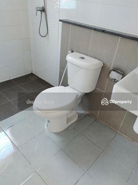 Areeya Daily Kaset-Nawamintr, Bangkok, Ladplakhao Road, Chorake Bua, Lat Phrao, Bangkok, 3 Bedrooms, 160 sqm, Townhouse For Rent, by Nattayaporn Peumkul (Benz), 10321305 - DDproperty.com