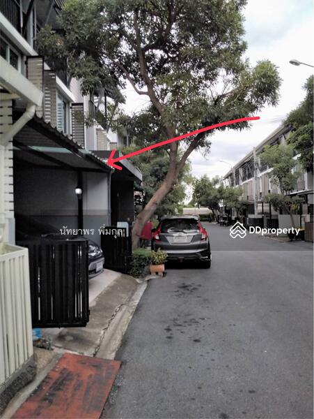 Areeya Daily Kaset-Nawamintr, Bangkok, Ladplakhao Road, Chorake Bua, Lat Phrao, Bangkok, 3 Bedrooms, 160 sqm, Townhouse For Rent, by Nattayaporn Peumkul (Benz), 10321305 - DDproperty.com