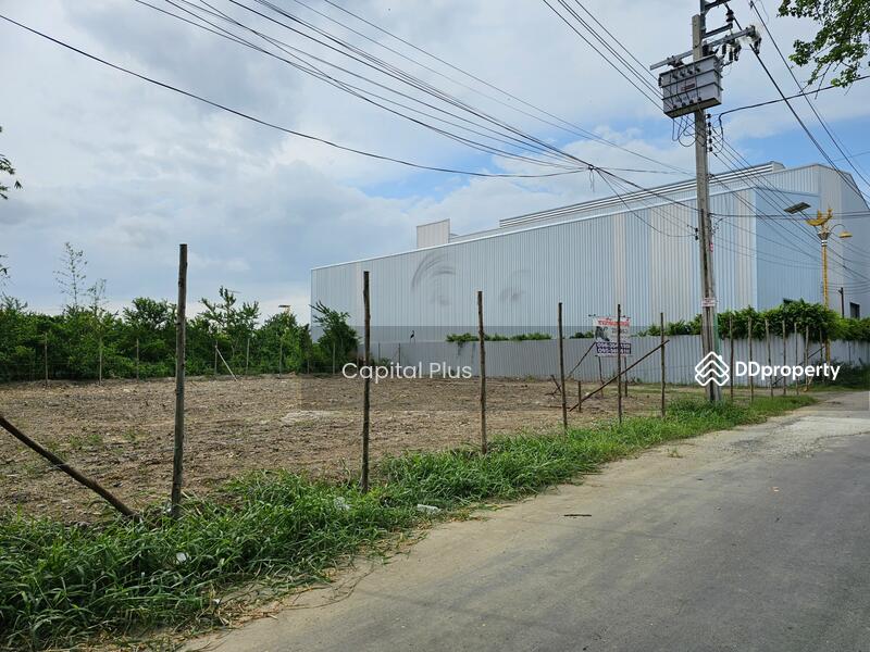 ขาย - ที่ดิน กิ่งแก้ว 43, สมุทรปราการ