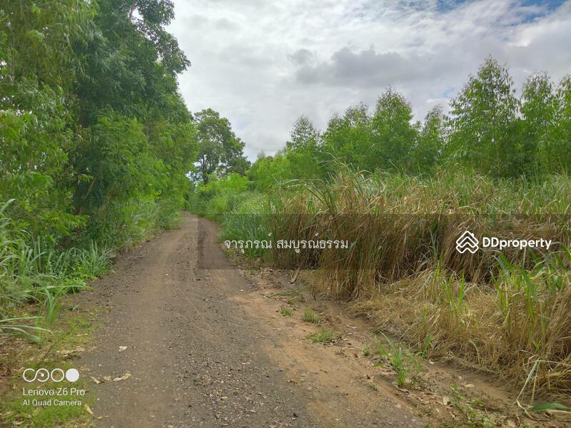 ตรงข้ามหน้าทรัพย์เป็นทุ่งนา