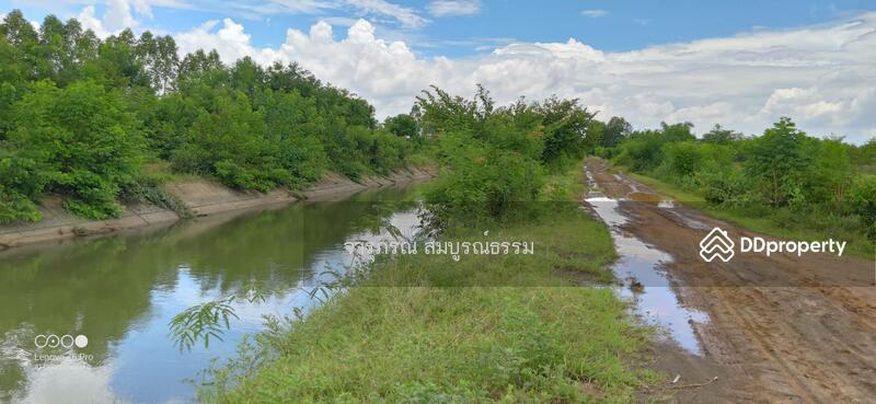 บ่อน้ำบริเวณที่ดิน