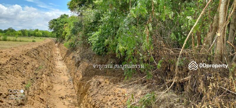 ที่ดินติดแปลงข้างเคียง
