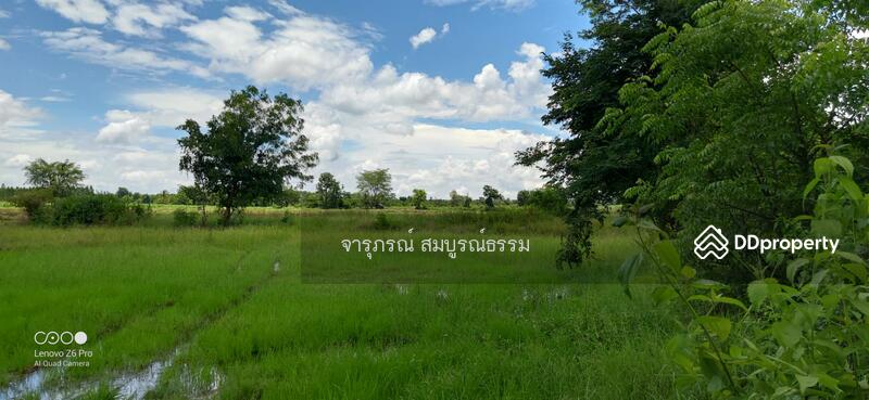 บางส่วนของที่ดินให้เช่าทำนา