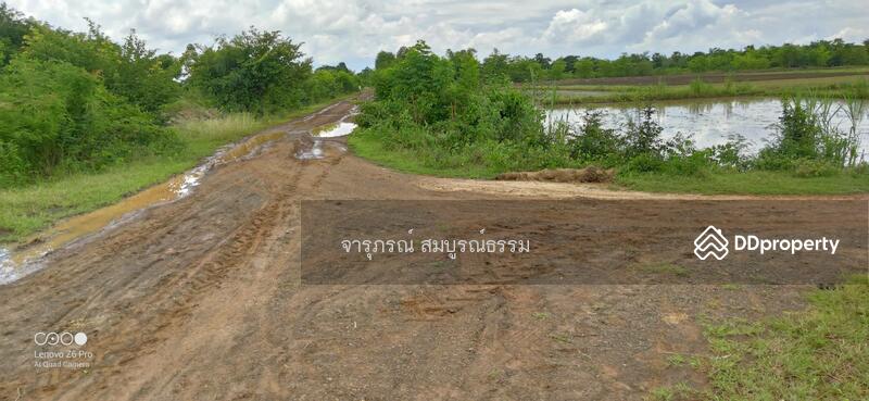 ถนนก่อนถึงทางเข้าที่ดิน