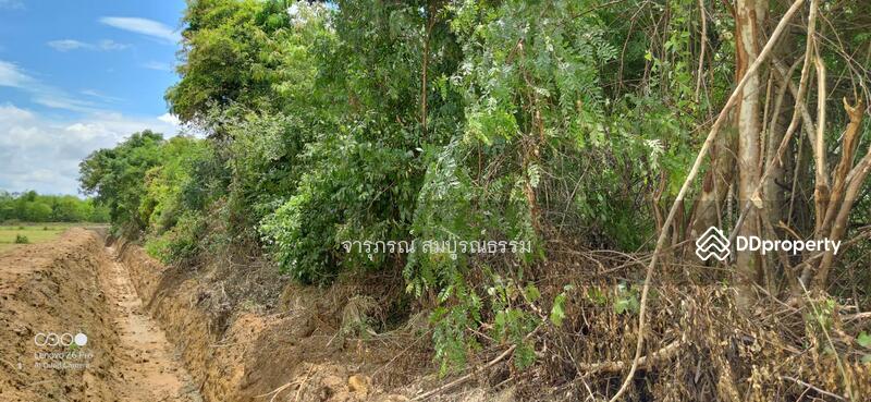 บริเวณด้านข้างเคียง