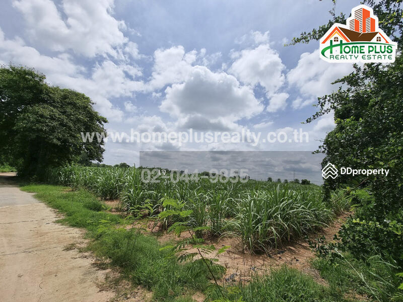 ที่ดินตำบลนิคม อำเภอสตึก บุรีรัมย์ (ใกล้สนามบินบุรีรัมย์), บุรีรัมย์, นิคม, สตึก, บุรีรัมย์, 45,600 ตร.ม., ที่ดิน ขาย, โดย เจ, 10328938 - DDproperty.com