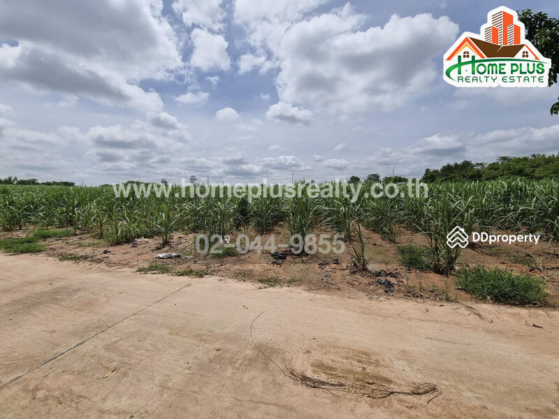 ที่ดินตำบลนิคม อำเภอสตึก บุรีรัมย์ (ใกล้สนามบินบุรีรัมย์), บุรีรัมย์, นิคม, สตึก, บุรีรัมย์, 45,600 ตร.ม., ที่ดิน ขาย, โดย เจ, 10328938 - DDproperty.com