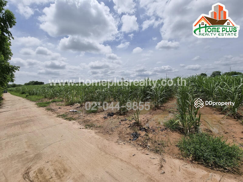 ที่ดินตำบลนิคม อำเภอสตึก บุรีรัมย์ (ใกล้สนามบินบุรีรัมย์), บุรีรัมย์, นิคม, สตึก, บุรีรัมย์, 45,600 ตร.ม., ที่ดิน ขาย, โดย เจ, 10328938 - DDproperty.com