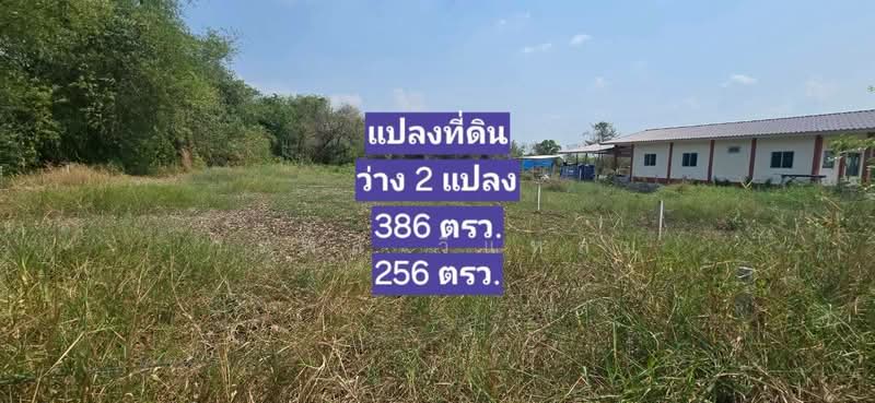 ที่ดินเจ้าของขายเอง โคกหนองนา 200 - 300 ตรว. ถนน น้ำ ไฟ ล้อมรั้ว อ.วิหารแดง จ.สระบุรี, Saraburi, Ban Lam, Wihan Daeng, Saraburi, , 1,024 sqm, Land For Sale, by วรพล วิแหลม, 10329388 - DDproperty.com