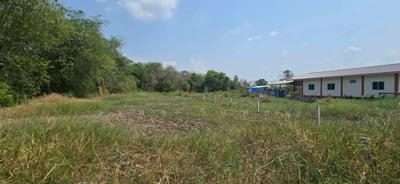 ที่ดินเจ้าของขายเอง โคกหนองนา 200 - 300 ตรว. ถนน น้ำ ไฟ ล้อมรั้ว อ.วิหารแดง จ.สระบุรี, สระบุรี, บ้านลำ, วิหารแดง, สระบุรี, 1,024 ตร.ม., ที่ดิน ขาย, โดย วรพล วิแหลม, 10329388 - DDproperty.com