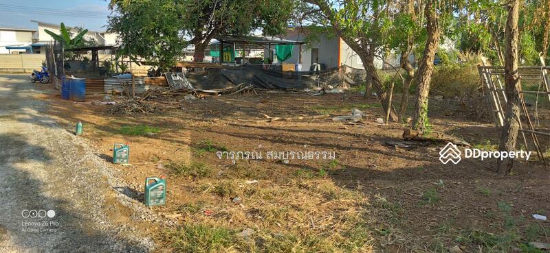 เนื้อที่ 153 ตรว.