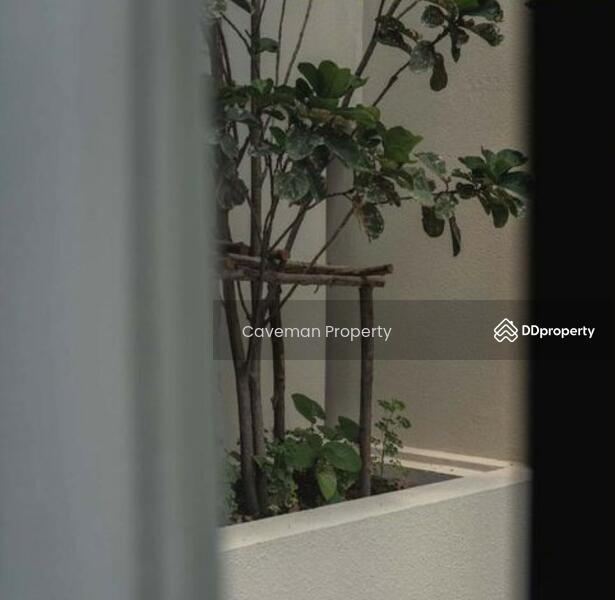 The Reserve Sukhumvit 61, Bangkok, 78 Soi Sukhumvit 61, Khlong Tan Nua, Watthana, Bangkok, 2 Bedrooms, 70 sqm, Condo For Rent, by Caveman Property, 10332245 - DDproperty.com