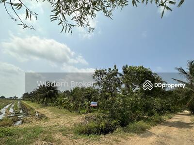ขาย - ที่ดินแปลงเกษตรสวนผลไม้ผสม, สระบุรี