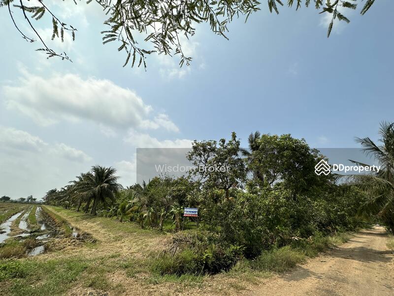 ขาย - ที่ดินแปลงเกษตรสวนผลไม้ผสม, สระบุรี