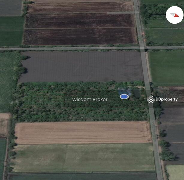 For Sale - ที่ดินแปลงเกษตรสวนผลไม้ผสม, Saraburi