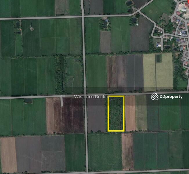 For Sale - ที่ดินแปลงเกษตรสวนผลไม้ผสม, Saraburi