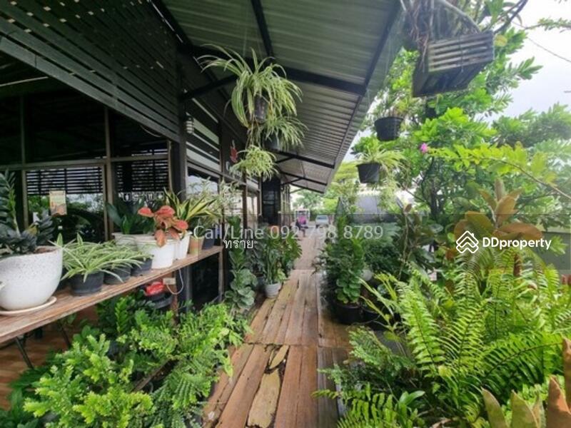 ที่ดินติดตลาดคลอง16 ดอนฉิมพลี, Chachoengsao, Don Chimphli, Bang Nam Prieo, Chachoengsao, , 20,800 sqm, Land For Sale, by คุณ ทราย, 10334672 - DDproperty.com