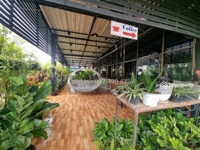 ที่ดินติดตลาดคลอง16 ดอนฉิมพลี, ฉะเชิงเทรา, ดอนฉิมพลี, บางน้ำเปรี้ยว, ฉะเชิงเทรา, 20,800 ตร.ม., ที่ดิน ขาย, โดย คุณ ทราย, 10334672 - DDproperty.com