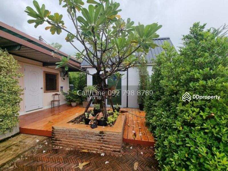 ที่ดินติดตลาดคลอง16 ดอนฉิมพลี, ฉะเชิงเทรา, ดอนฉิมพลี, บางน้ำเปรี้ยว, ฉะเชิงเทรา, 20,800 ตร.ม., ที่ดิน ขาย, โดย คุณ ทราย, 10334672 - DDproperty.com