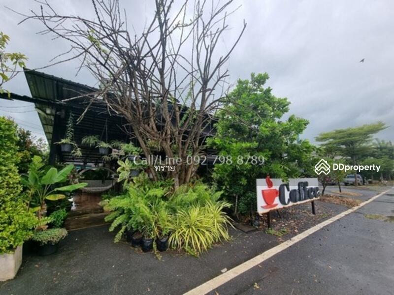 ที่ดินติดตลาดคลอง16 ดอนฉิมพลี, ฉะเชิงเทรา, ดอนฉิมพลี, บางน้ำเปรี้ยว, ฉะเชิงเทรา, 20,800 ตร.ม., ที่ดิน ขาย, โดย คุณ ทราย, 10334672 - DDproperty.com