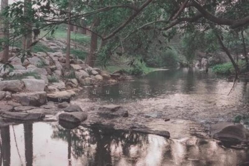 Land 33.2 Rai Great stunning views mountain, stream, Nakhon Ratchasima, Mu Si, Pak Chong, Nakhon Ratchasima, , 54,200 sqm, Land For Sale, by Nuntawan Laosuwanwat, 10334920 - DDproperty.com