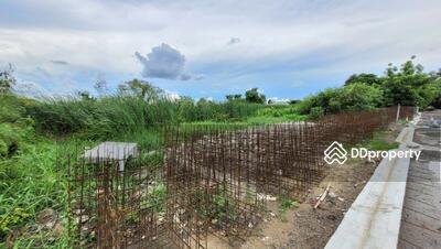 ขาย - ที่ดิน ต.บางพูด อ.ปากเกร็ด จ.นนทบุรี, นนทบุรี