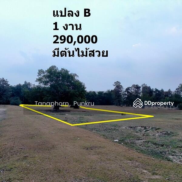 ขาย - คำขวาง, อุบลราชธานี
