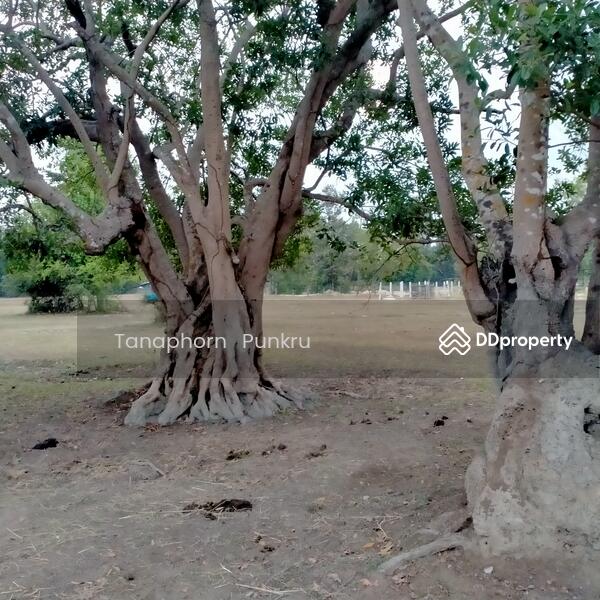 ขาย - คำขวาง, อุบลราชธานี