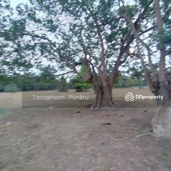 For Sale - Sale by the owner, Ubon Ratchathani
