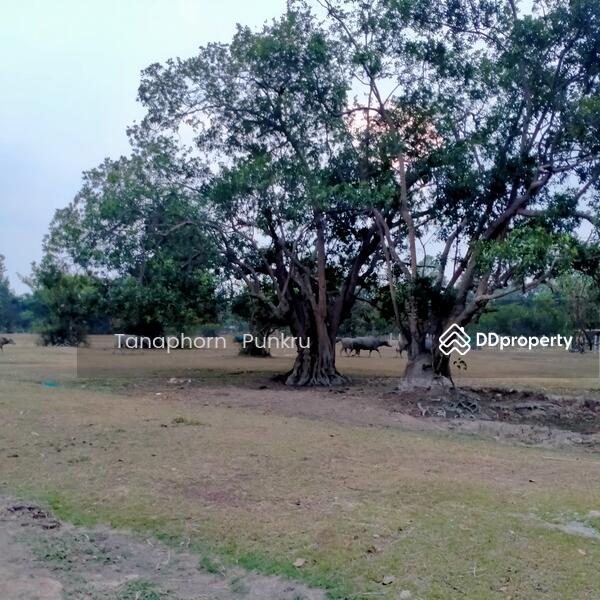 For Sale - Sale by the owner, Ubon Ratchathani
